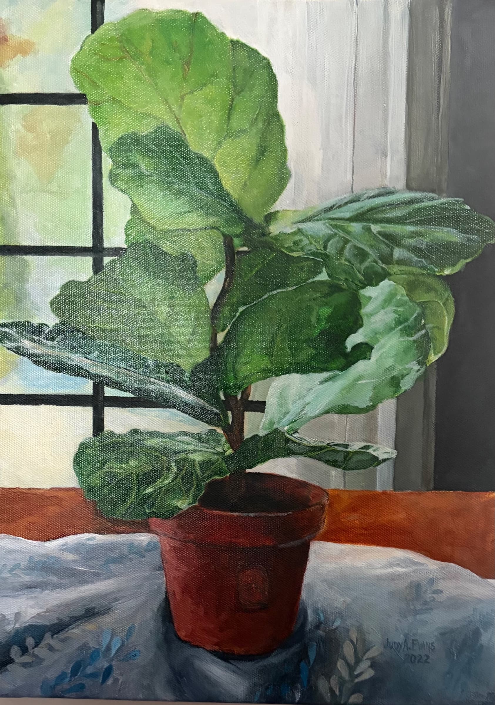 Fiddle Leaf in Morning Light